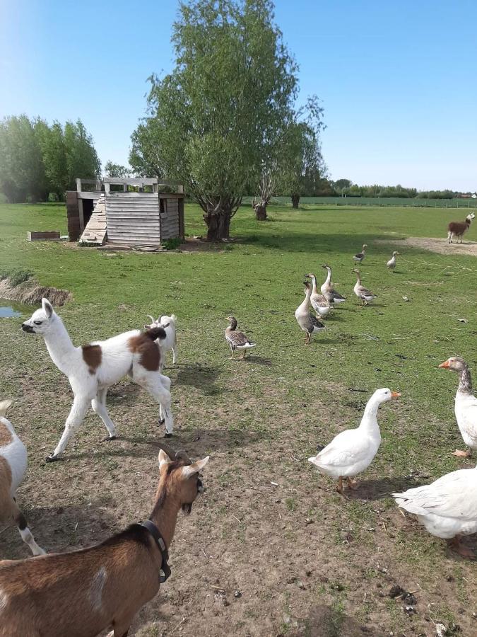 Gite Canard Fromelles Екстер'єр фото